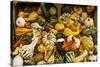Pumpkins, Gouds and Winter Squash for Sale-Richard T. Nowitz-Stretched Canvas