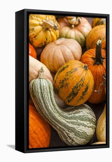 Pumpkins, Gouds and Winter Squash for Sale-Richard T. Nowitz-Framed Stretched Canvas