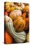 Pumpkins, Gouds and Winter Squash for Sale-Richard T. Nowitz-Stretched Canvas