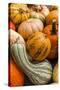 Pumpkins, Gouds and Winter Squash for Sale-Richard T. Nowitz-Stretched Canvas