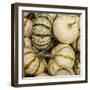 Pumpkins, Gouds and Winter Squash for Sale-Richard T. Nowitz-Framed Photographic Print