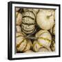 Pumpkins, Gouds and Winter Squash for Sale-Richard T. Nowitz-Framed Photographic Print