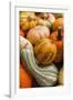 Pumpkins, Gouds and Winter Squash for Sale-Richard T. Nowitz-Framed Photographic Print