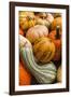 Pumpkins, Gouds and Winter Squash for Sale-Richard T. Nowitz-Framed Photographic Print