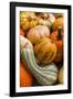 Pumpkins, Gouds and Winter Squash for Sale-Richard T. Nowitz-Framed Photographic Print