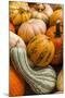 Pumpkins, Gouds and Winter Squash for Sale-Richard T. Nowitz-Mounted Photographic Print