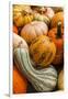 Pumpkins, Gouds and Winter Squash for Sale-Richard T. Nowitz-Framed Photographic Print