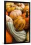 Pumpkins, Gouds and Winter Squash for Sale-Richard T. Nowitz-Framed Photographic Print