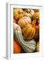 Pumpkins, Gouds and Winter Squash for Sale-Richard T. Nowitz-Framed Photographic Print