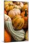 Pumpkins, Gouds and Winter Squash for Sale-Richard T. Nowitz-Mounted Photographic Print