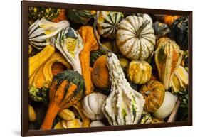 Pumpkins, Gouds and Winter Squash for Sale-Richard T. Nowitz-Framed Photographic Print