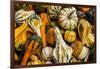 Pumpkins, Gouds and Winter Squash for Sale-Richard T. Nowitz-Framed Photographic Print