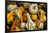 Pumpkins, Gouds and Winter Squash for Sale-Richard T. Nowitz-Framed Photographic Print