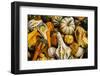 Pumpkins, Gouds and Winter Squash for Sale-Richard T. Nowitz-Framed Photographic Print