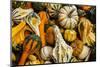 Pumpkins, Gouds and Winter Squash for Sale-Richard T. Nowitz-Mounted Photographic Print