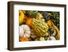 Pumpkins, Gouds and Winter Squash for Sale-Richard T. Nowitz-Framed Photographic Print