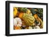 Pumpkins, Gouds and Winter Squash for Sale-Richard T. Nowitz-Framed Photographic Print