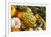 Pumpkins, Gouds and Winter Squash for Sale-Richard T. Nowitz-Framed Photographic Print