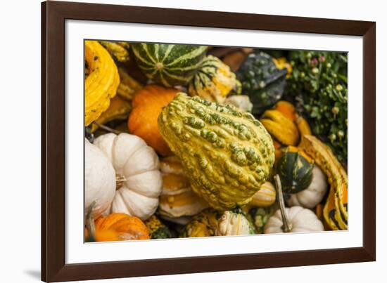 Pumpkins, Gouds and Winter Squash for Sale-Richard T. Nowitz-Framed Photographic Print