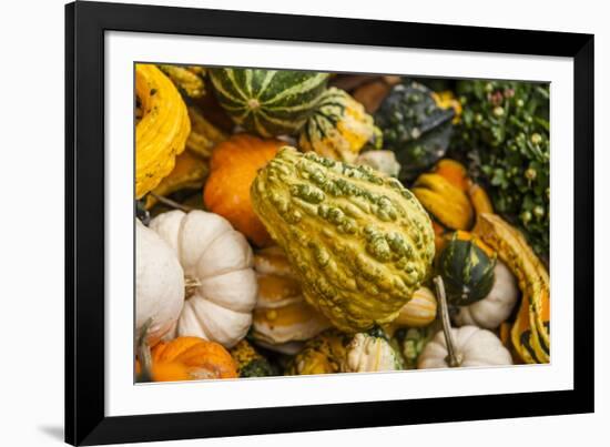 Pumpkins, Gouds and Winter Squash for Sale-Richard T. Nowitz-Framed Photographic Print