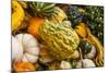 Pumpkins, Gouds and Winter Squash for Sale-Richard T. Nowitz-Mounted Photographic Print