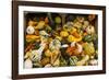 Pumpkins, Gouds and Winter Squash for Sale-Richard T. Nowitz-Framed Photographic Print