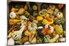 Pumpkins, Gouds and Winter Squash for Sale-Richard T. Nowitz-Mounted Photographic Print