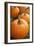 Pumpkins I-Karyn Millet-Framed Photographic Print