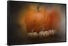 Pumpkins in October-Jai Johnson-Framed Stretched Canvas