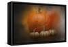 Pumpkins in October-Jai Johnson-Framed Stretched Canvas