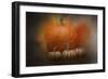 Pumpkins in October-Jai Johnson-Framed Giclee Print