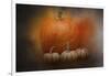 Pumpkins in October-Jai Johnson-Framed Giclee Print