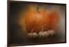 Pumpkins in October-Jai Johnson-Framed Giclee Print