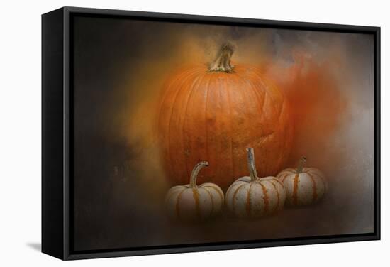 Pumpkins in October-Jai Johnson-Framed Stretched Canvas