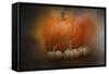 Pumpkins in October-Jai Johnson-Framed Stretched Canvas