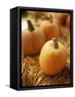 Pumpkins on Bale of Hay-David Papazian-Framed Stretched Canvas