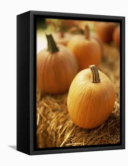 Pumpkins on Bale of Hay-David Papazian-Framed Stretched Canvas