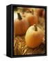 Pumpkins on Bale of Hay-David Papazian-Framed Stretched Canvas