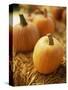 Pumpkins on Bale of Hay-David Papazian-Stretched Canvas