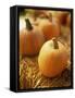 Pumpkins on Bale of Hay-David Papazian-Framed Stretched Canvas