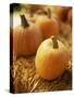 Pumpkins on Bale of Hay-David Papazian-Stretched Canvas