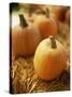 Pumpkins on Bale of Hay-David Papazian-Stretched Canvas