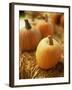 Pumpkins on Bale of Hay-David Papazian-Framed Premium Photographic Print