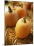 Pumpkins on Bale of Hay-David Papazian-Mounted Premium Photographic Print