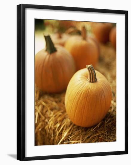 Pumpkins on Bale of Hay-David Papazian-Framed Photographic Print