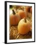 Pumpkins on Bale of Hay-David Papazian-Framed Photographic Print