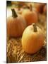 Pumpkins on Bale of Hay-David Papazian-Mounted Photographic Print