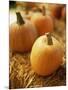 Pumpkins on Bale of Hay-David Papazian-Mounted Photographic Print