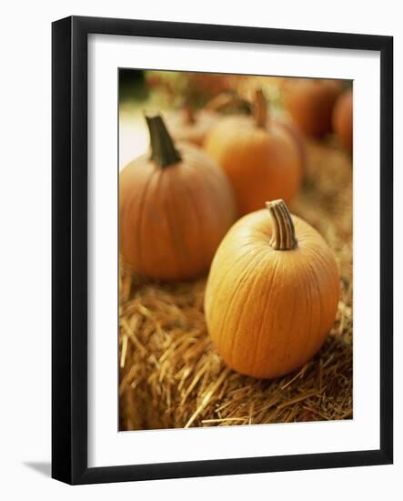 Pumpkins on Bale of Hay-David Papazian-Framed Photographic Print