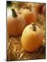 Pumpkins on Bale of Hay-David Papazian-Mounted Photographic Print